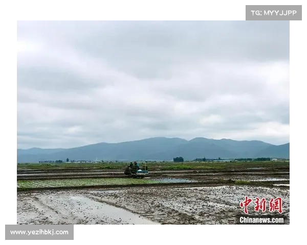王权2修改器使用中常见问题及解决方法详细指南 王权2修改器使用中常见问题及解决方法详细指南