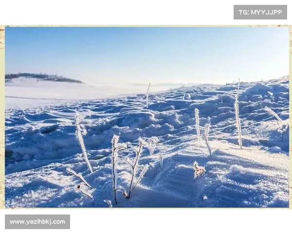 冬日湖畔的静谧与魅力雪景交织下的自然诗意与心灵宁静 冬日湖畔的静谧与魅力雪景交织下的自然诗意与心灵宁静