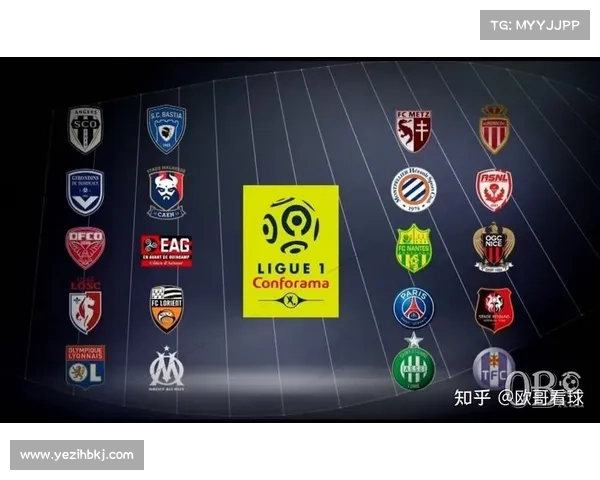 21法甲冠军的背后故事与真实情况解析球队崛起的关键因素与挑战